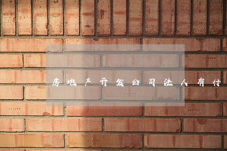 房地产开发公司法人有什么责任