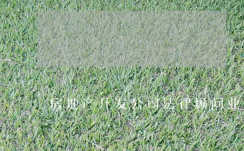 房地产开发公司法律顾问业务 房地产开发公司法律顾问业务