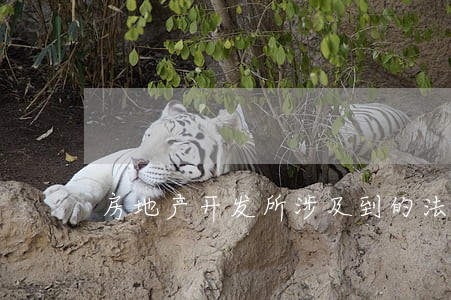房地产开发所涉及到的法律法规 房地产开发所涉及到的法律法规