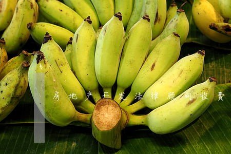 房地产开发法律顾问收费 房地产开发法律顾问收费