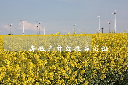 房地产开发税务诉讼