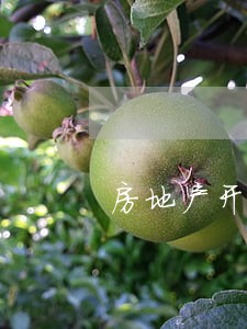 房地产开发诉讼风险 房地产开发诉讼风险