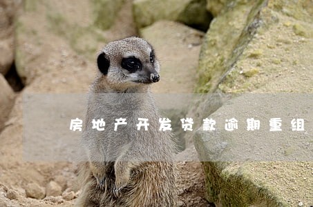 房地产开发贷款逾期重组
