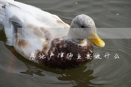 房地产律师主要做什么 房地产律师主要做什么