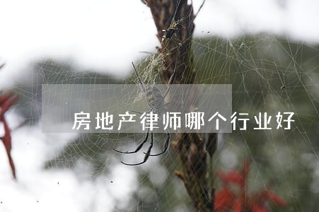 房地产律师哪个行业好 房地产律师哪个行业好