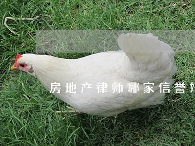 房地产律师哪家信誉好