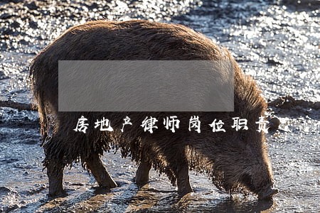 房地产律师岗位职责 房地产律师岗位职责