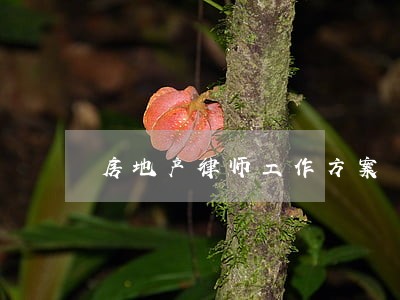 房地产律师工作方案 房地产律师工作方案