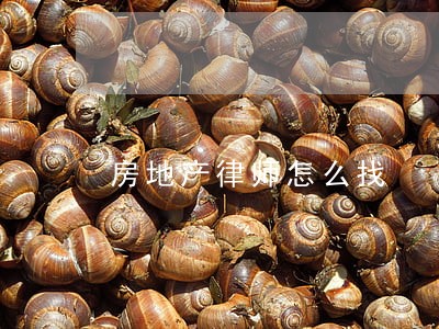 房地产律师怎么找 房地产律师怎么找