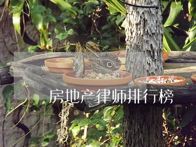 房地产律师排行榜 房地产律师排行榜