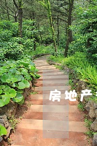 房地产律师提案