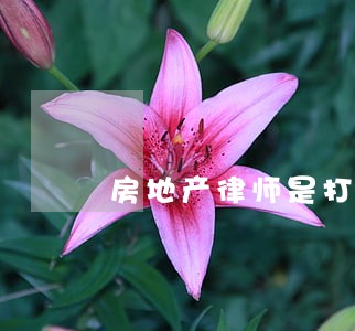 房地产律师是打什么的 房地产律师是打什么的