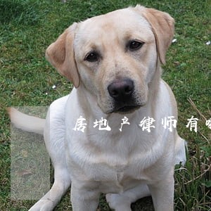 房地产律师有哪些 房地产律师有哪些