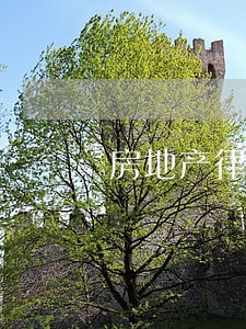 房地产律师楼官 房地产律师楼官