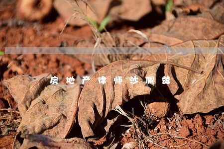 房地产律师沙佩兹 房地产律师沙佩兹
