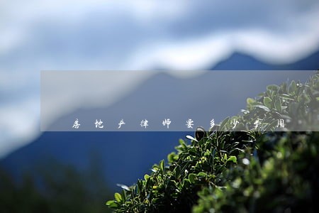 房地产律师要多少费用 房地产律师要多少费用