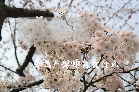 房地产律师负责什么 房地产律师负责什么