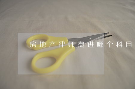 房地产律师费进哪个科目 房地产律师费进哪个科目