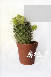 房地产律师选择哪家较好 房地产律师选择哪家较好