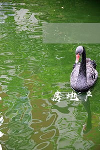 房地产怎么才能违法 房地产怎么才能违法