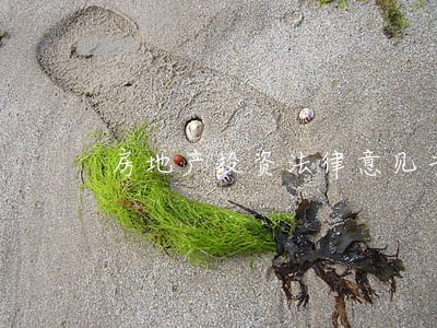 房地产投资法律意见书