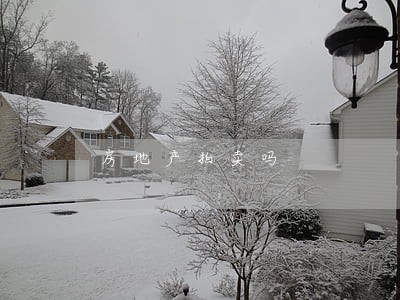 房地产拍卖吗 房地产拍卖吗