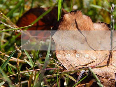 房地产最好律师 房地产最好律师
