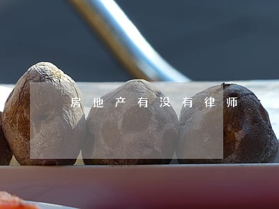 房地产有没有律师 房地产有没有律师