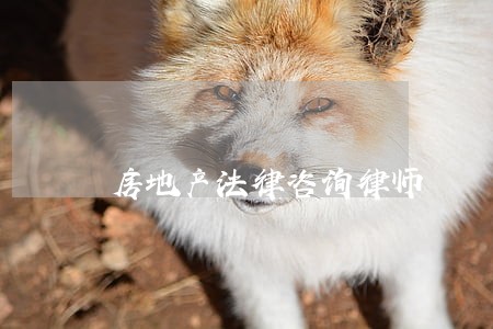 房地产法律咨询律师 房地产法律咨询律师