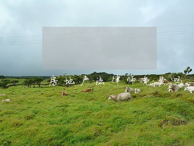 房地产法律师免费吗 房地产法律师免费吗