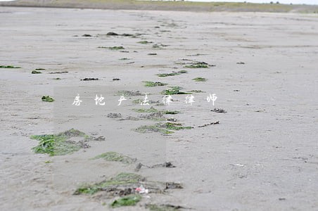 房地产法律律师