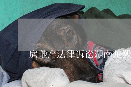 房地产法律诉讼湖南龙熙