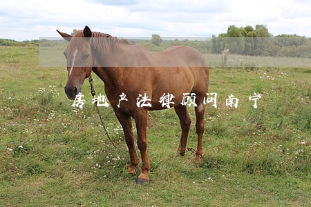 房地产法律顾问南宁 房地产法律顾问南宁