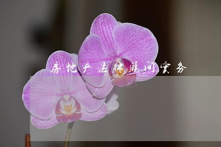 房地产法律顾问实务
