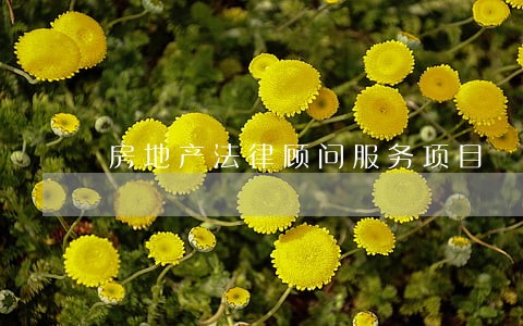 房地产法律顾问服务项目 房地产法律顾问服务项目