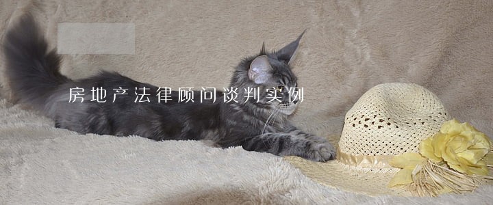 房地产法律顾问谈判实例 房地产法律顾问谈判实例