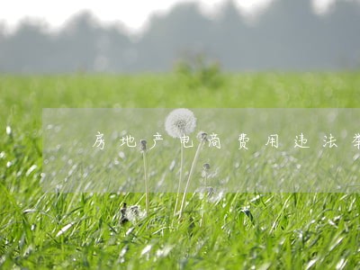 房地产电商费用违法举报 房地产电商费用违法举报