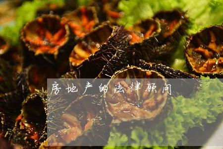 房地产的法律顾问 房地产的法律顾问