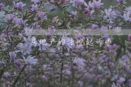 房地产的法院起诉书 房地产的法院起诉书