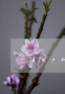 房地产纠纷律师前十名 房地产纠纷律师前十名