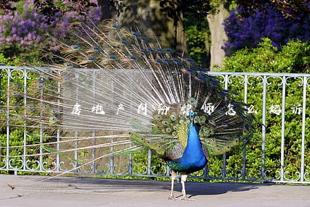 房地产纠纷律师怎么起诉 房地产纠纷律师怎么起诉