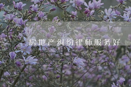 房地产纠纷律师服务好 房地产纠纷律师服务好