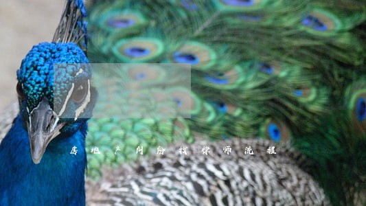 房地产纠纷找律师流程 房地产纠纷找律师流程