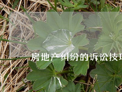 房地产纠纷的诉讼技巧 房地产纠纷的诉讼技巧