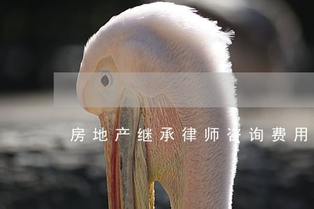 房地产继承律师咨询费用 房地产继承律师咨询费用