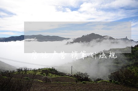 房地产营销策划法规