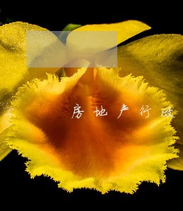 房地产行政诉讼律师 房地产行政诉讼律师