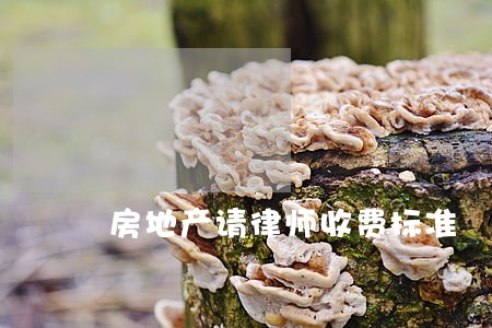 房地产请律师收费标准 房地产请律师收费标准
