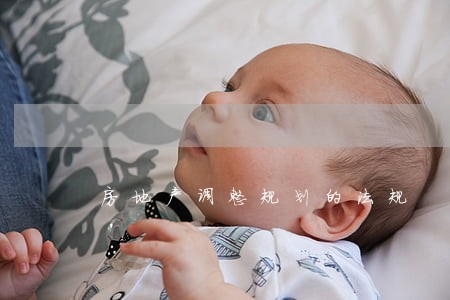 房地产调整规划的法规
