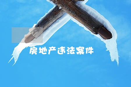 房地产违法案件